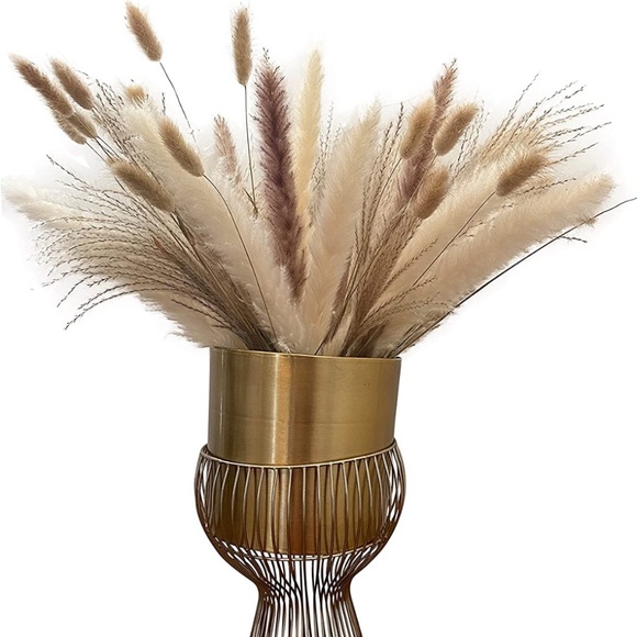 Other - 100 Boho Natural Dried Pampas